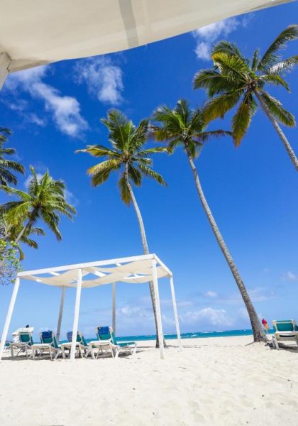 Playa privada con hamacas y palmeras del hotel Emotions by Hodelpa Puerto Plata en República Dominicana