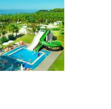 Vista aérea de la piscina exterior con toboganes acuáticos verdes del Hotel Master Plaza rodeada de palmeras