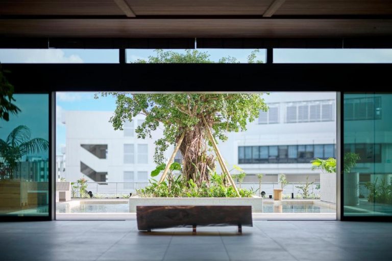 Jardín interior con árbol tropical y piscina del Royal Park Hotel Iconic Naha en Okinawa