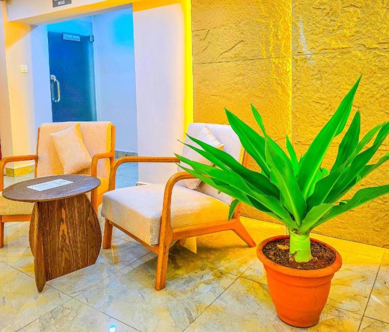 Zona de descanso con sillones y planta decorativa junto al área de spa en Hotel Sapphire