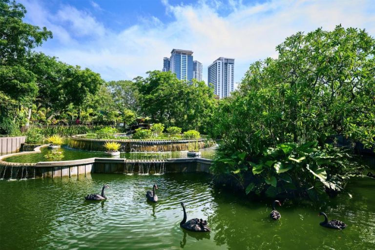 Jardines tropicales con estanque y cisnes negros del Hilton Colombo con rascacielos al fondo