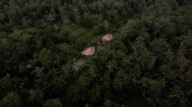 Vista aérea del hotel Pitu Punggul Village Escape rodeado de selva tropical y palmeras en Bali