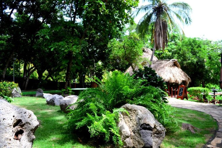 Jardines tropicales con rocas volcánicas, helechos y palapa del Laguna Beach Club