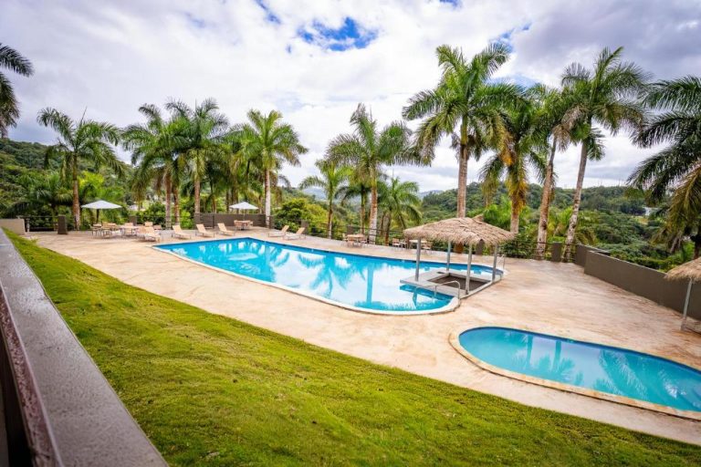 Piscina exterior rodeada de palmeras tropicales con zona de descanso en Hotel Vista Alegre