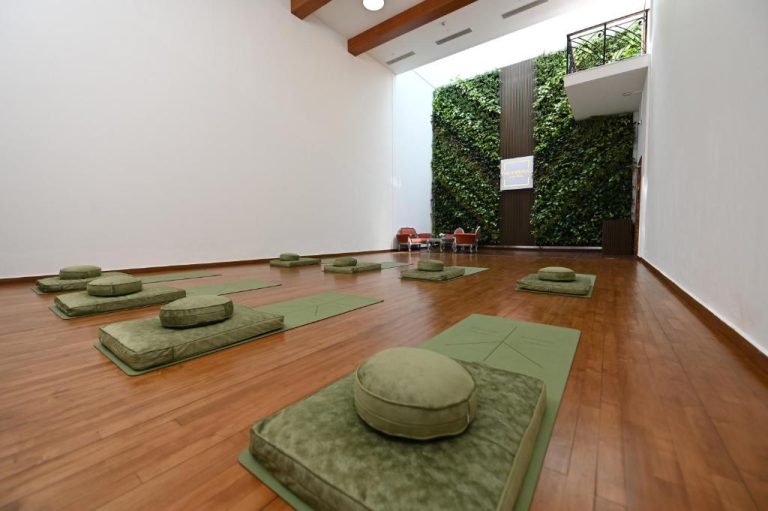 Sala de meditación y yoga con colchonetas verdes y jardín vertical en The Imperial New Delhi