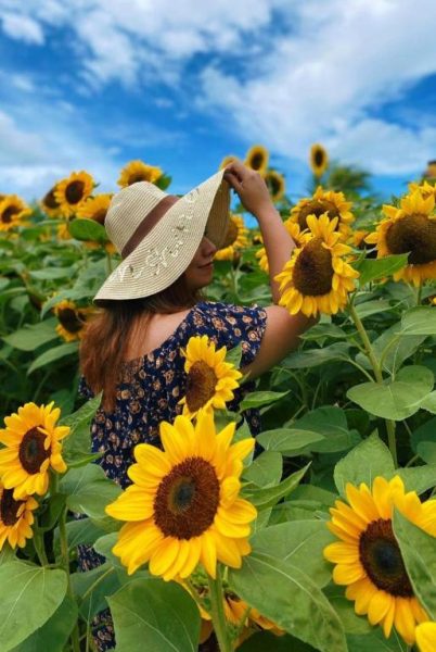 Mujer entre girasoles en el jardín exterior del Hotel Girasol bajo un cielo azul de verano