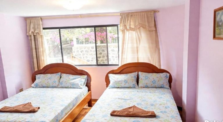 Habitación doble con dos camas individuales y vistas al jardín con flores en Hotel Girasol