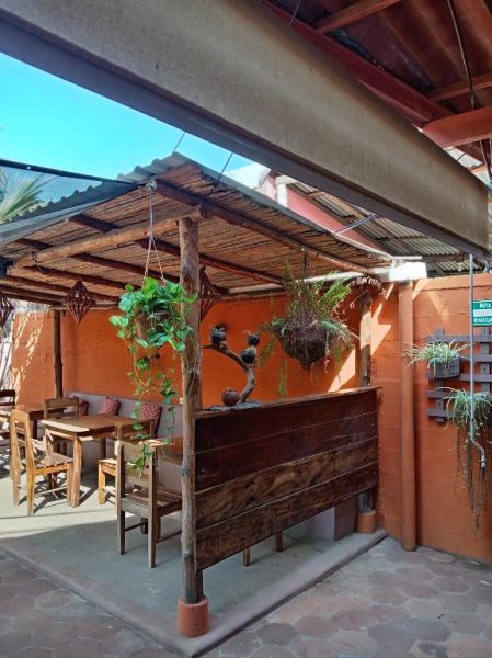 Terraza bar rústica con barra de madera y plantas colgantes en El Belga Loco