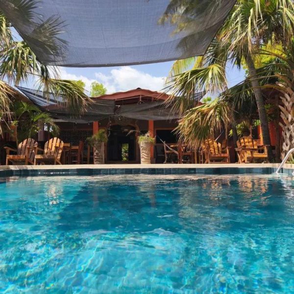 Piscina exterior de aguas cristalinas rodeada de palmeras y terraza con sillas en El Belga Loco