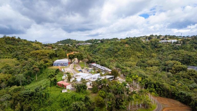 Vista aérea del Hotel Vista Alegre rodeado de exuberante vegetación tropical y colinas verdes