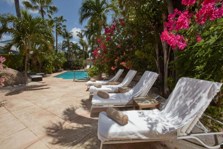 Tumbonas con toallas junto a la piscina exterior rodeada de palmeras y buganvillas en Paradera Park Aruba