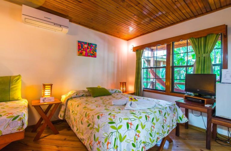 Habitación doble con decoración tropical y aire acondicionado en Las Rocas Resort and Dive Center