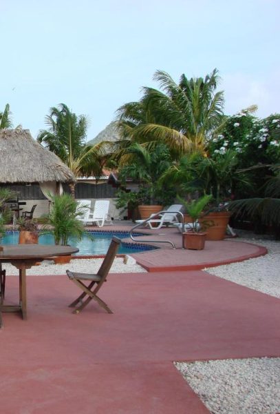 Piscina exterior rodeada de palmeras y jardín tropical en Cunucu Villas Aruba con tumbonas y palapa