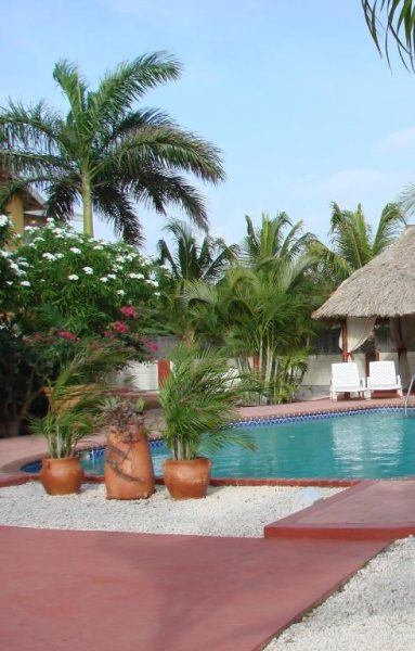 Piscina exterior rodeada de palmeras y jardín tropical en Cunucu Villas Aruba con palapa y tumbonas