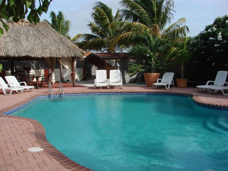 Piscina exterior con tumbonas blancas y palapa en Cunucu Villas Aruba, rodeada de palmeras tropicales