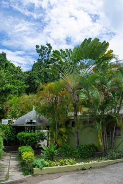 Jardines tropicales con palmeras y gazebo del Pineapple Court Hotel en Jamaica