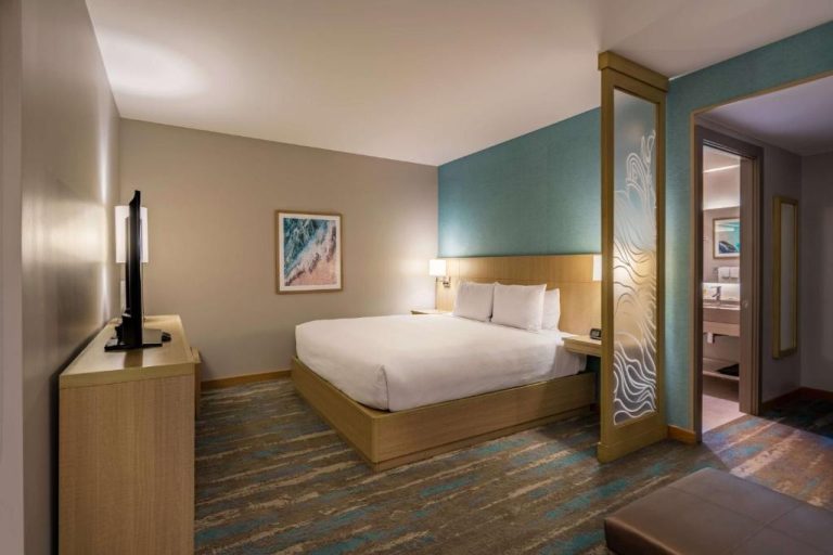 Habitación king con decoración tropical y baño en suite del Hyatt Place Aruba Airport