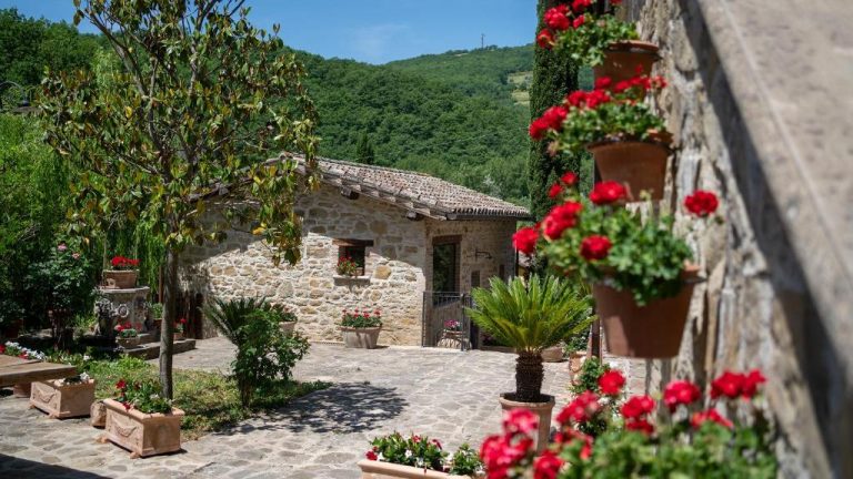 Patio de piedra con macetas de flores rojas y jardín del Agriturismo I Pietrini en Italia