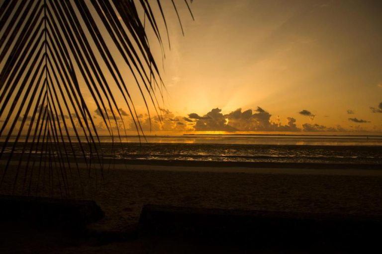 Atardecer dorado sobre la playa del Antonio Beach Hotel & Spa en África Oriental con palmeras en primer plano