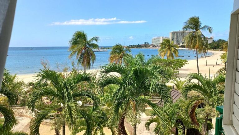 Vista panorámica de la playa y el mar desde el Beach One Bedroom 2 con palmeras tropicales