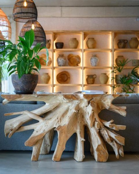 Mesa de raíz de teca con tapa de cristal en el lobby del Ambar Hotel, decorado con cerámica artesanal y plantas naturales