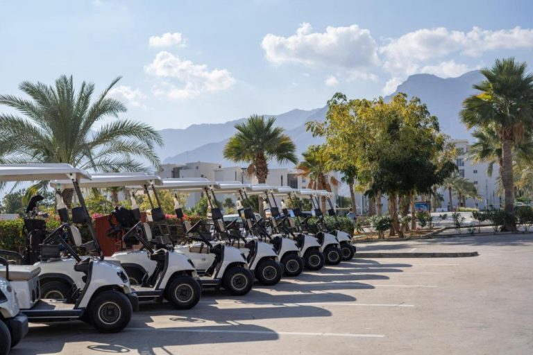 Flota de carros de golf blancos aparcados en el Sifawy Boutique Hotel con palmeras y montañas al fondo