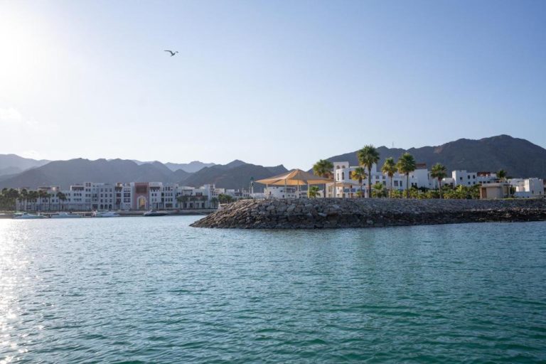 Vista panorámica del Sifawy Boutique Hotel desde el mar con palmeras y montañas al fondo en Omán
