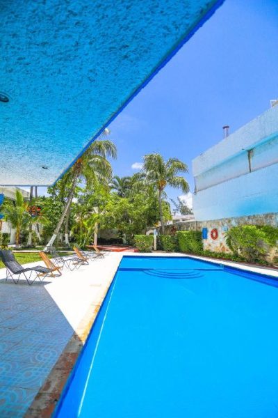 Piscina exterior con tumbonas y palmeras tropicales del Hotel Caribe Internacional Cancún bajo cielo azul