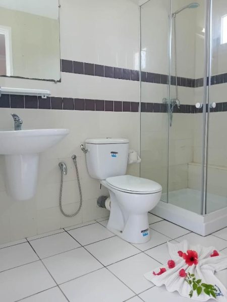 Baño completo con ducha de mampara, lavabo y WC del Hôtel Romane decorado con flores
