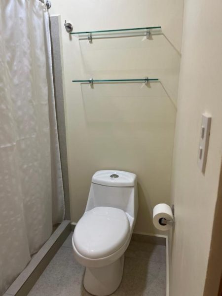 Baño privado con inodoro, estantes de vidrio y cortina de ducha en Hotel Boutique Iguana Verde