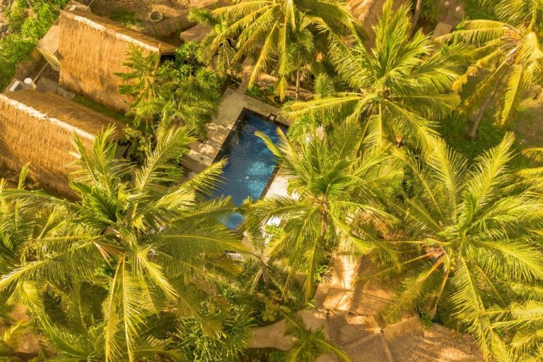 Vista aérea de la piscina privada rodeada de palmeras tropicales en el hotel Selvática
