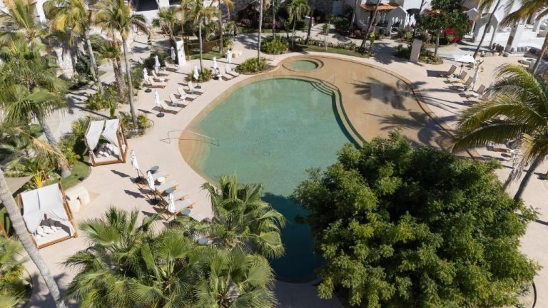 Vista aérea de la piscina exterior con tumbonas y palmeras tropicales en Casa Nima by Lumina