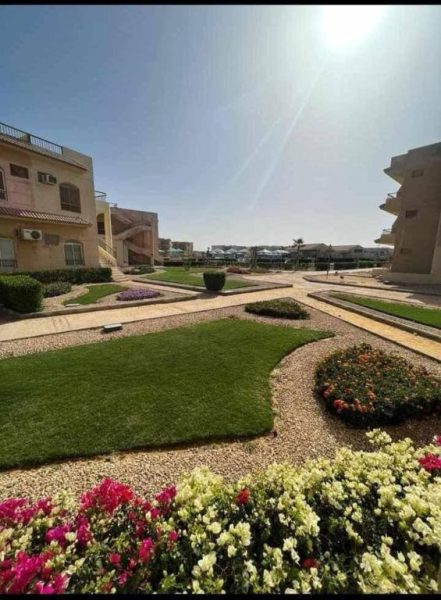 Jardines exteriores con flores y zonas verdes del Regina Resort Ain Sokhna en Egipto