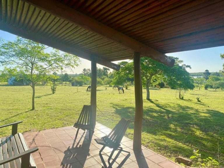 Terraza con sillas y vista al campo con caballos pastando en Complejo La Posta del Hum