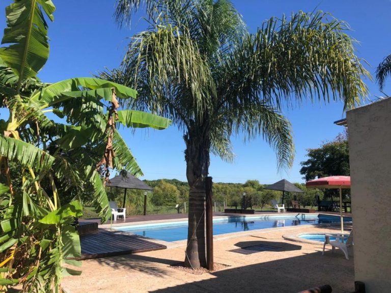 Piscina exterior rodeada de palmeras y vegetación tropical en Complejo La Posta del Hum