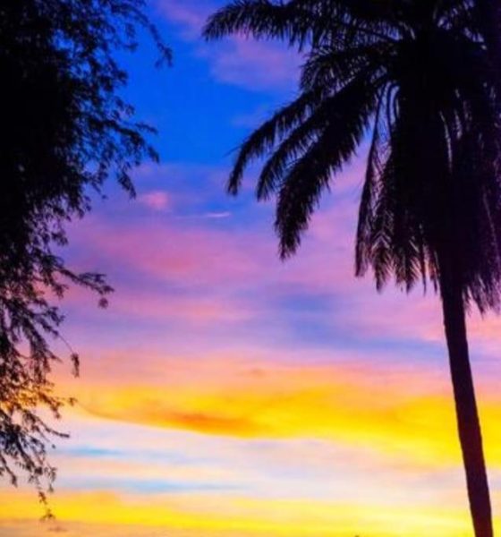 Espectacular atardecer tropical con palmeras en silueta en el Hotel Chez Lilly