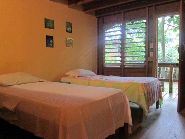 Habitación doble con dos camas y terraza con vistas a la naturaleza en Hotel Chillies and Native Sons Diving