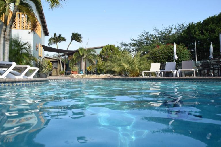 Piscina exterior rodeada de palmeras y vegetación tropical en La Felicidad Aruba