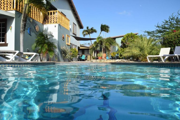 Piscina exterior con aguas cristalinas y palmeras tropicales en La Felicidad Aruba