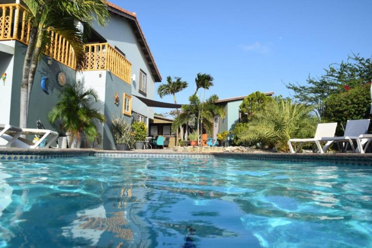 Piscina exterior con aguas cristalinas y palmeras del hotel La Felicidad Aruba bajo cielo azul