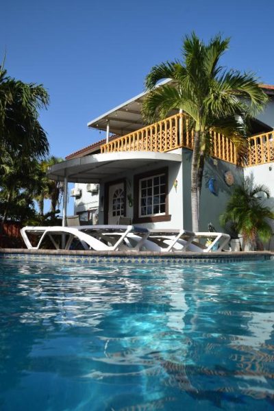 Piscina exterior con tumbonas y terraza de madera en La Felicidad Aruba rodeada de palmeras