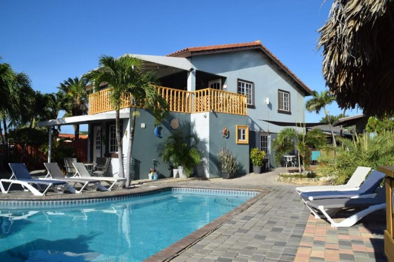 Piscina exterior con tumbonas y terraza de La Felicidad Aruba rodeada de palmeras tropicales