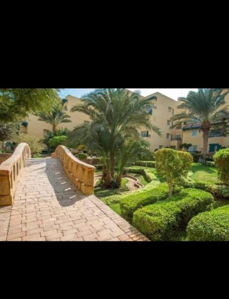 Puente peatonal de piedra rodeado de jardines tropicales con palmeras en la Qaryat Al Dahabeya
