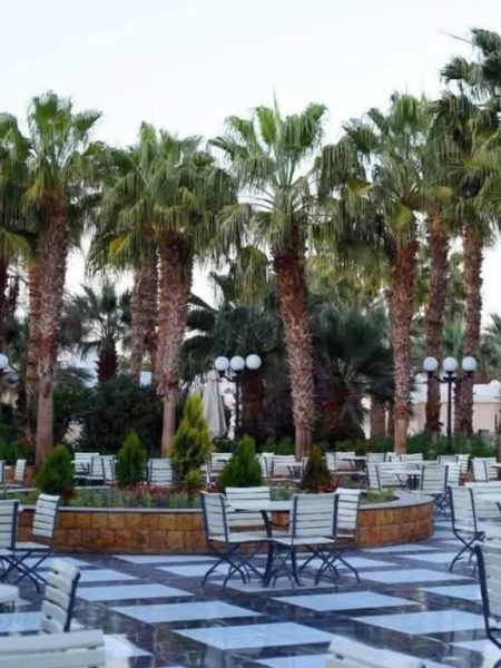 Terraza exterior con mesas, sillas y palmeras tropicales del Mirage Bay Resort & Aqua Park