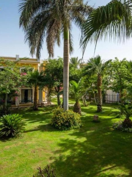 Jardín tropical con palmeras y césped del Mirage Bay Resort & Aqua Park en Egipto