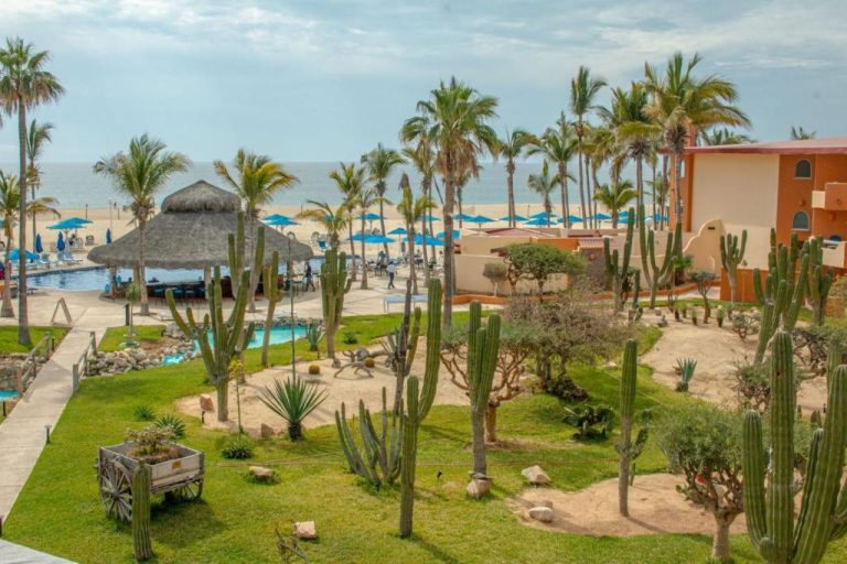 Jardín con cactus y palmeras junto a la piscina y playa del hotel Posada Real Los Cabos