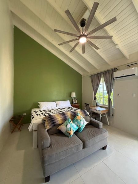 Habitación con techo a dos aguas y pared verde en Ninth River Ocho Rios, Jamaica