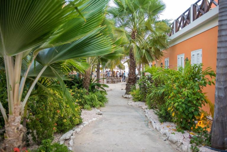 Sendero rodeado de palmeras y jardines tropicales en el Scuba Lodge City Beach de Curazao