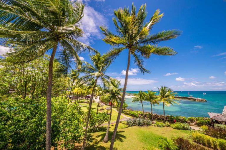 Jardines tropicales con palmeras y vistas al mar turquesa del Mahogany Hotel Residence & Spa