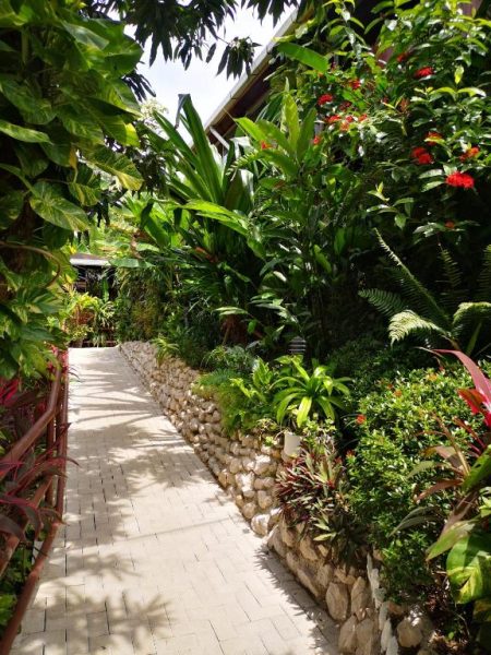 Sendero de piedra rodeado de jardín tropical exuberante en Hotel Belvedere Playa Samara Costa Rica